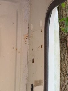 **Alternate Pickup Location and Date** 16ft Box Truck with Heavy Overgrowth - Image 5