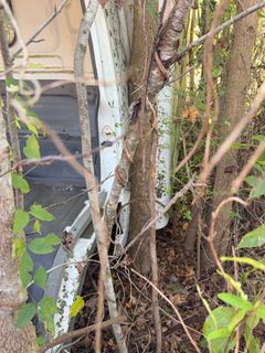 **Alternate Pickup Location and Date** 16ft Box Truck with Heavy Overgrowth - Image 6