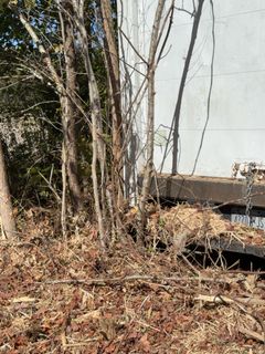 **Alternate Pickup Location and Date** 16ft Box Truck with Heavy Overgrowth - Image 8