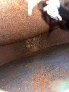 **Alternate Pickup Location and Date** Large Rusted Flammable Liquid Storage Tank - Image 5