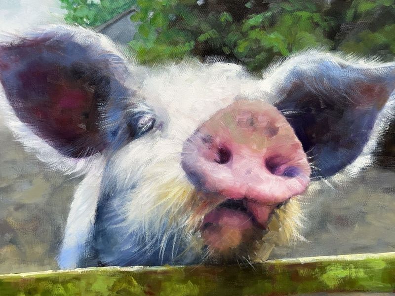 KW Oil Painting of Pig by Fence