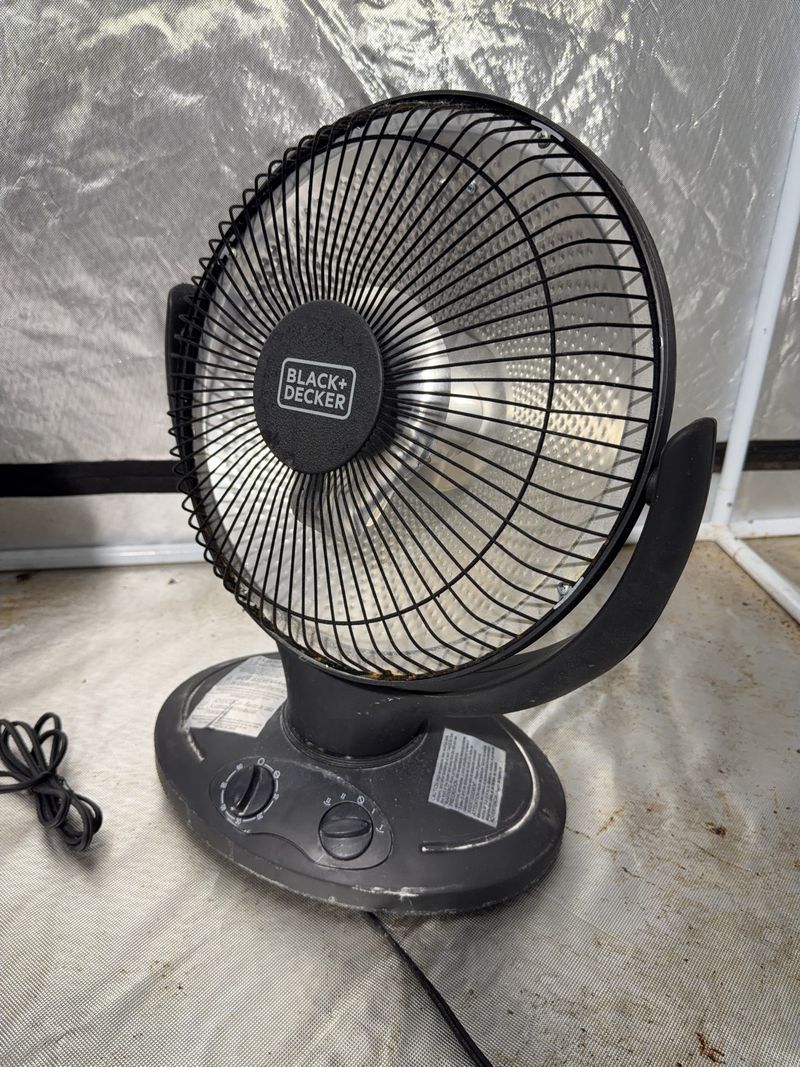 BLACK+DECKER Model BHR0608 Radiant Dish Heater - Image 1