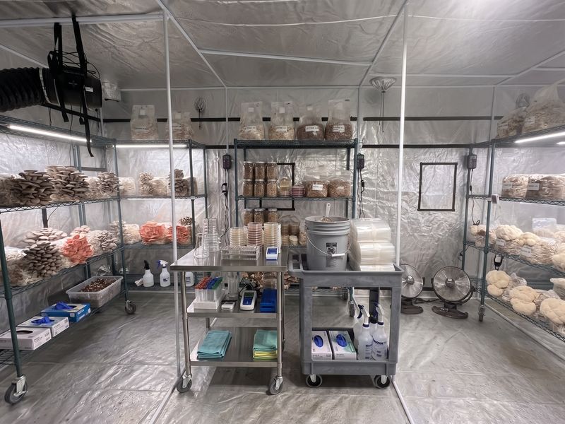 Commercial Indoor Agricultural Mushroom Grow Facility. Refrigerated Van & Grow Tents banner