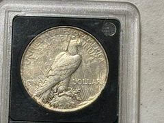 1923 Peace Dollars  - Image 8