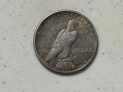 Peace Dollars Including (2)  1924, 1925, 1926  - Image 11
