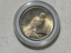 Peace Dollars Including (2)  1924, 1925, 1926  - Image 10