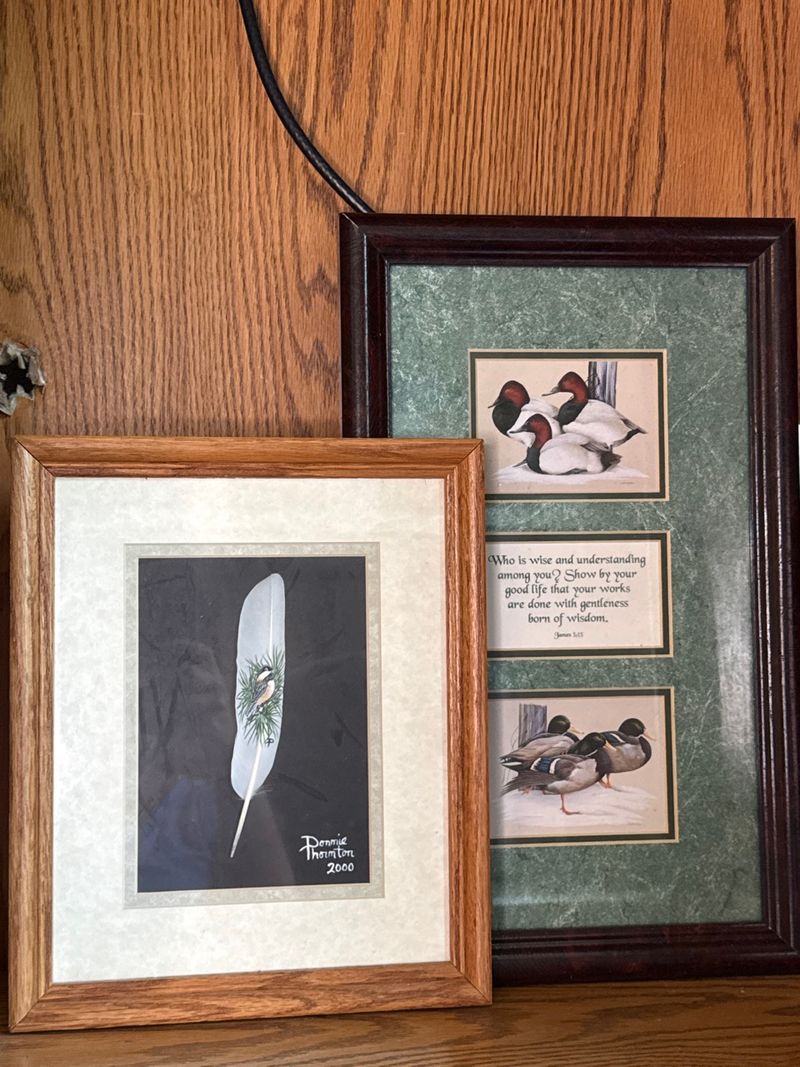 Framed Hand Painted Feather Art Signed Donnie Thornton 2000