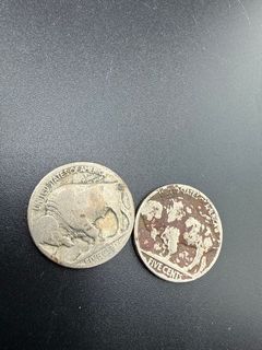 Buffalo Nickels  - Image 5