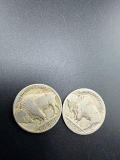 Buffalo Nickels  - Image 9