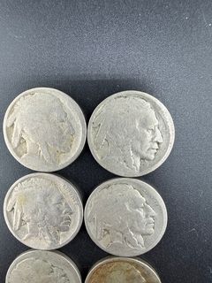 Buffalo Nickels  - Image 2
