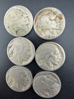 Buffalo Nickels  - Image 4