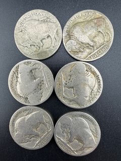 Buffalo Nickels  - Image 5