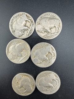 Buffalo Nickels  - Image 3