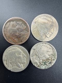 Buffalo Nickels  - Image 4