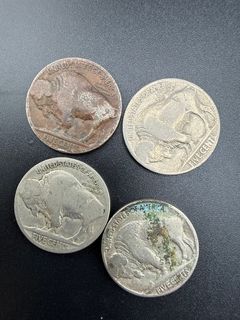 Buffalo Nickels  - Image 5