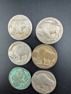 Buffalo Nickels  - Image 3