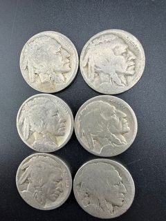 Buffalo Nickels  - Image 4
