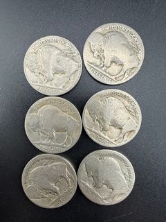 Buffalo Nickels  - Image 5