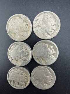 Buffalo Nickels  - Image 4
