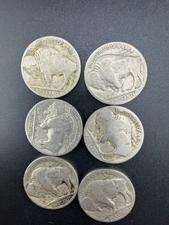 Buffalo Nickels  - Image 5