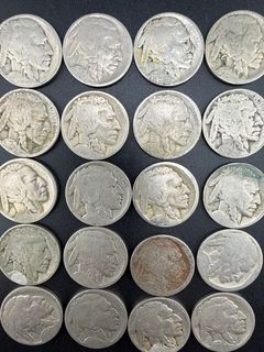 Buffalo Nickels  - Image 2