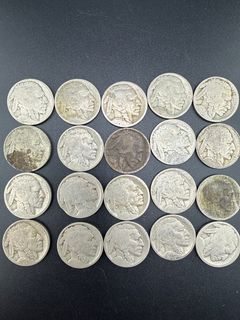 Buffalo Nickels  - Image 2