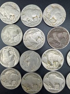 Buffalo Nickels  - Image 4