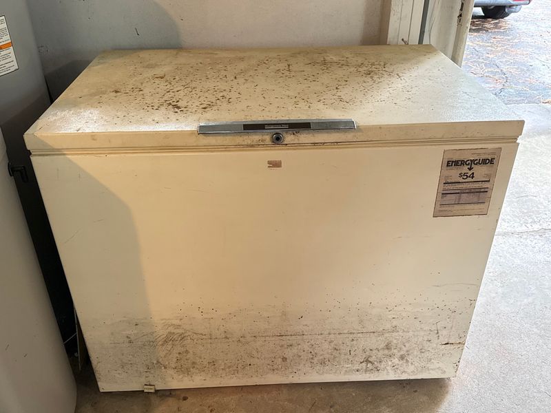 Montgomery Ward Deep Chest Freezer - Image 1