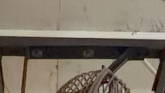 Dayton 2-Speed Industrial Circulator Fan - Image 5