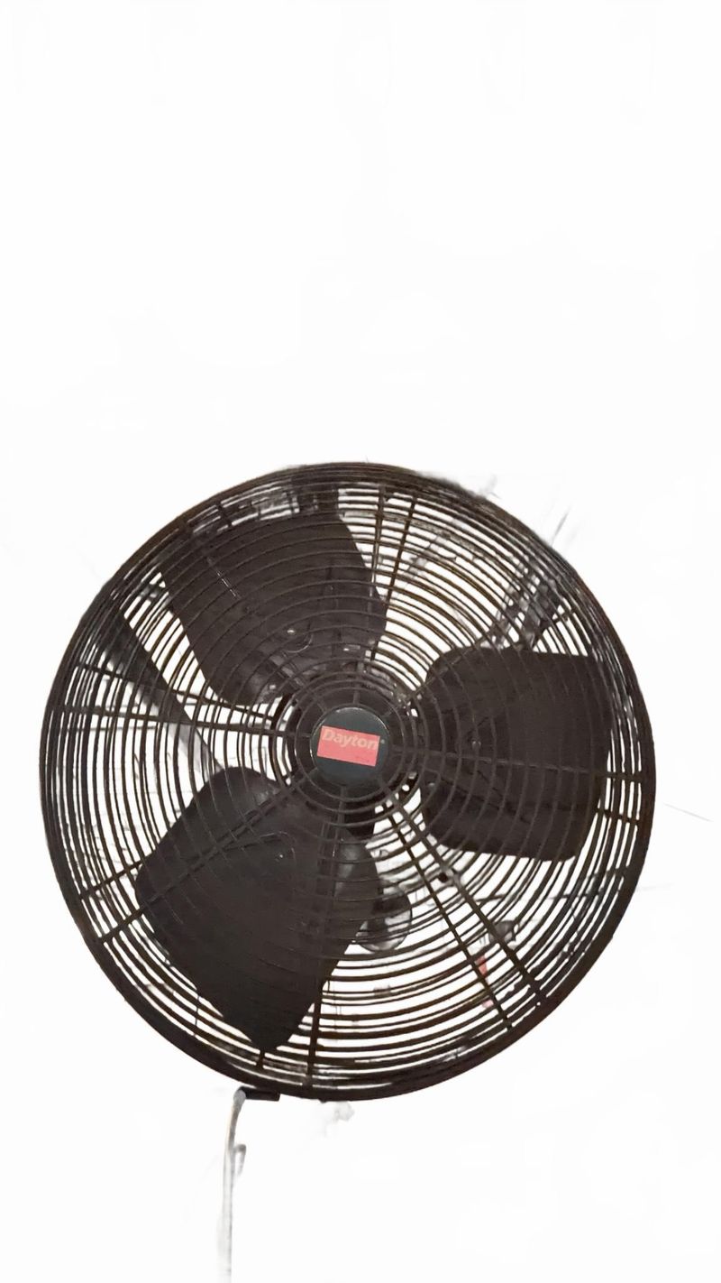 Dayton 2LY99 Industrial Wall Fan - Image 1