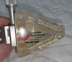 Feline Dental Model - Image 5