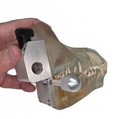 Canine Dental Model - Image 11