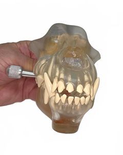 Canine Dental Model - Image 3