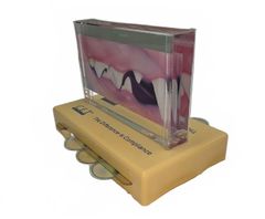 Demonstration Virbac Feline Periodontal Disease Educational Model - Image 3