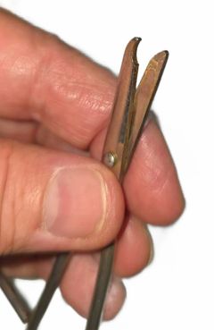 Surgical and Medical Instrument, 12-Piece Lot - Image 4