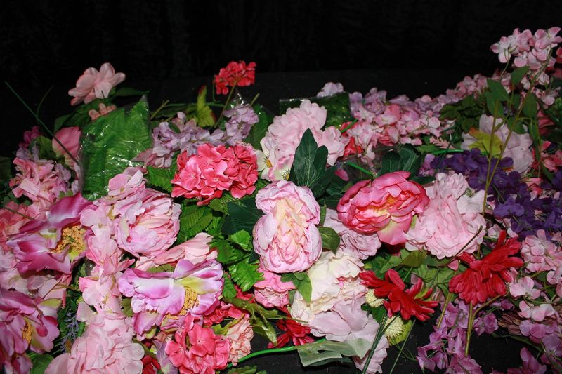 Miscellaneous Flowers