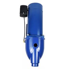3/4 HP Cast Iron Shallow Well Jet Pump - Image 4