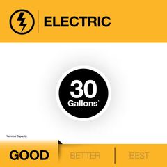 30 Gal. Tall 4500-Watt Double Element Electric Water Heater - Image 2