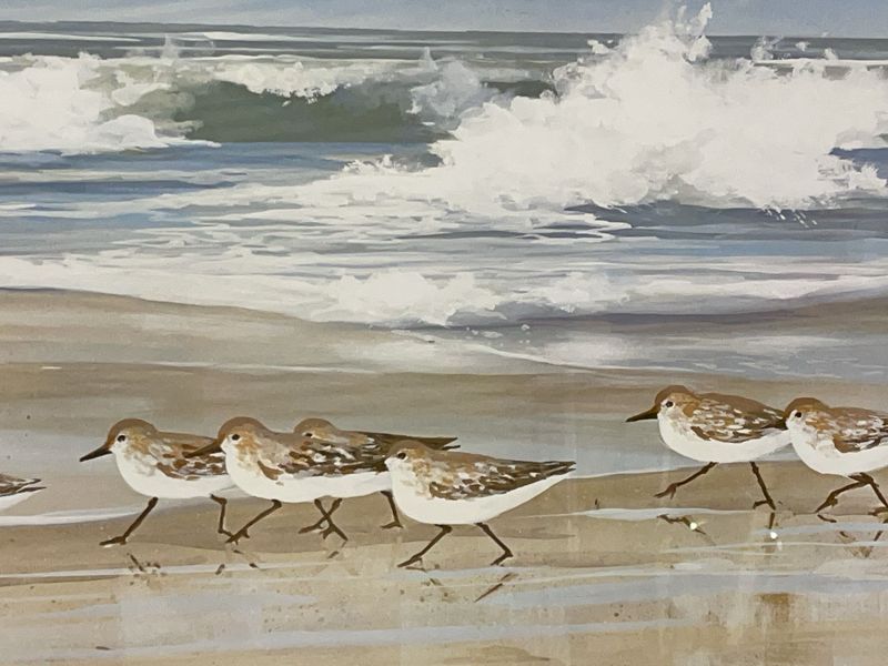 Penney Beach Scene - Image 1