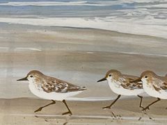 Penney Beach Scene - Image 6
