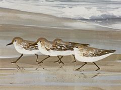 Penney Beach Scene - Image 7