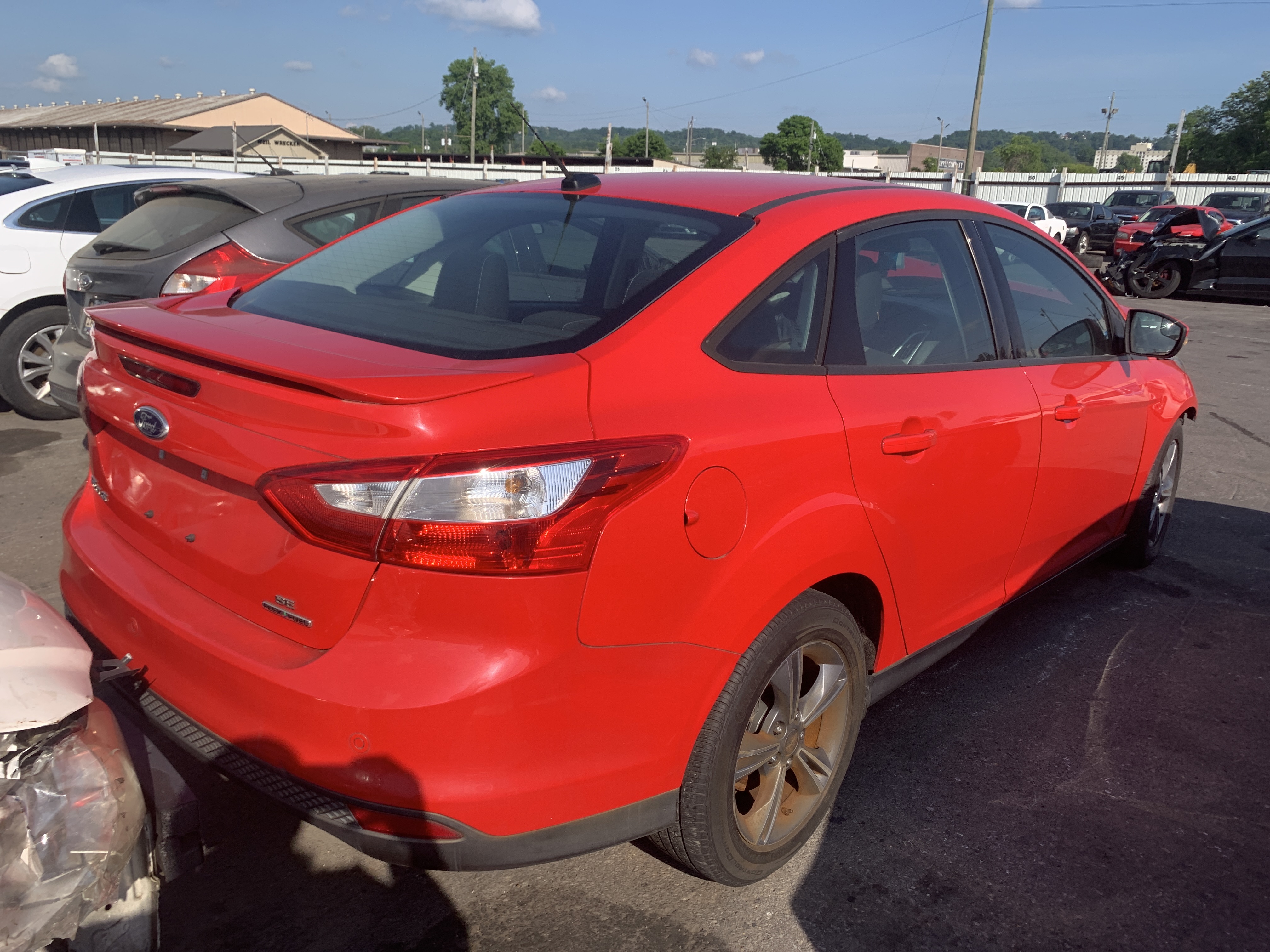 2014 FORD Focus photo 4 of 5