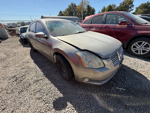 2006 NISSAN Maxima photo 5 of 12
