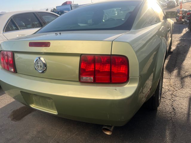 2005 Ford Mustang photo 6 of 6