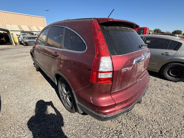 2010 HONDA CR-V photo 2 of 12