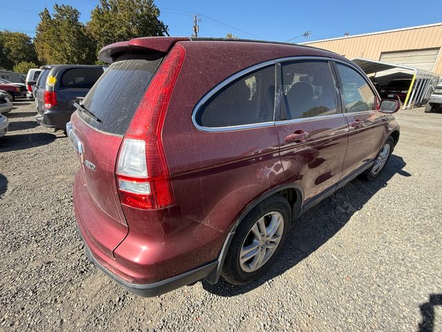 2010 HONDA CR-V photo 4 of 12