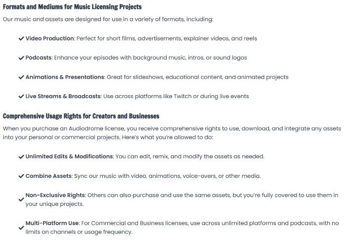 Audiodrome Licenses page excerpt showing permitted formats and comprehensive usage rights, including unlimited edits, non-exclusive use, and multi-platform coverage - clear guidance for choosing a royalty-free license for Instagram.