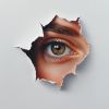Clear Insight Cover