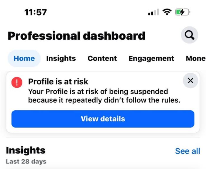 Professional Dashboard warning banner stating Profile is at risk of suspension for repeatedly not following rules