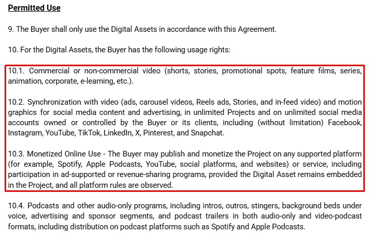 Screenshot of a “Permitted Use” license section highlighting commercial video use, ad synchronization rights, and monetized online use across platforms including Instagram.